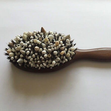 ［写真］hair brush